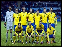 Euro 2012, Drużyna, Szwecji